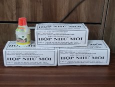 Dịch vụ diệt mối tận gốc tại Vĩnh Lộc A & Vĩnh Lộc B