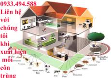 Diệt mối tận gốc tại TPHCM