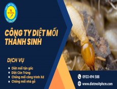DIỆT MỐI SINH HỌC TẬN GỐC TẠI HÓC MÔN