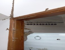 Diệt mối tại Tp Thủ Đức